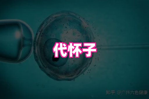 nub孕网 2
