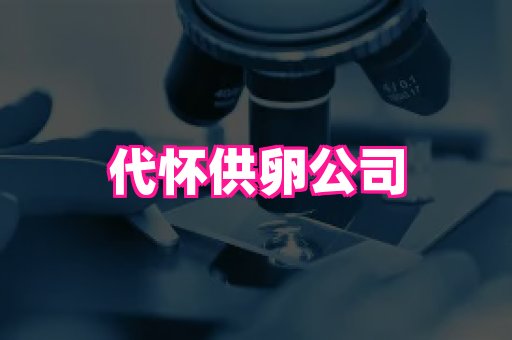 nub孕网 3