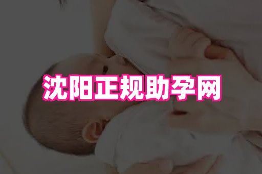 nub孕网 4